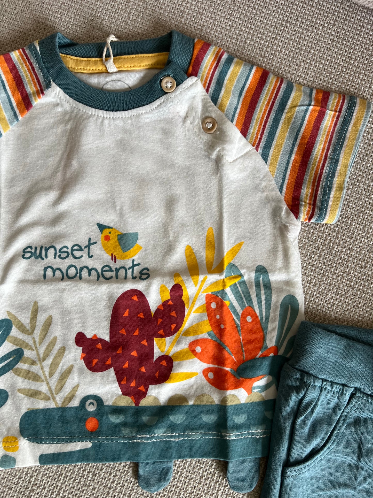 Ensemble 2 pcs tshirt & short motif automne bleu vert