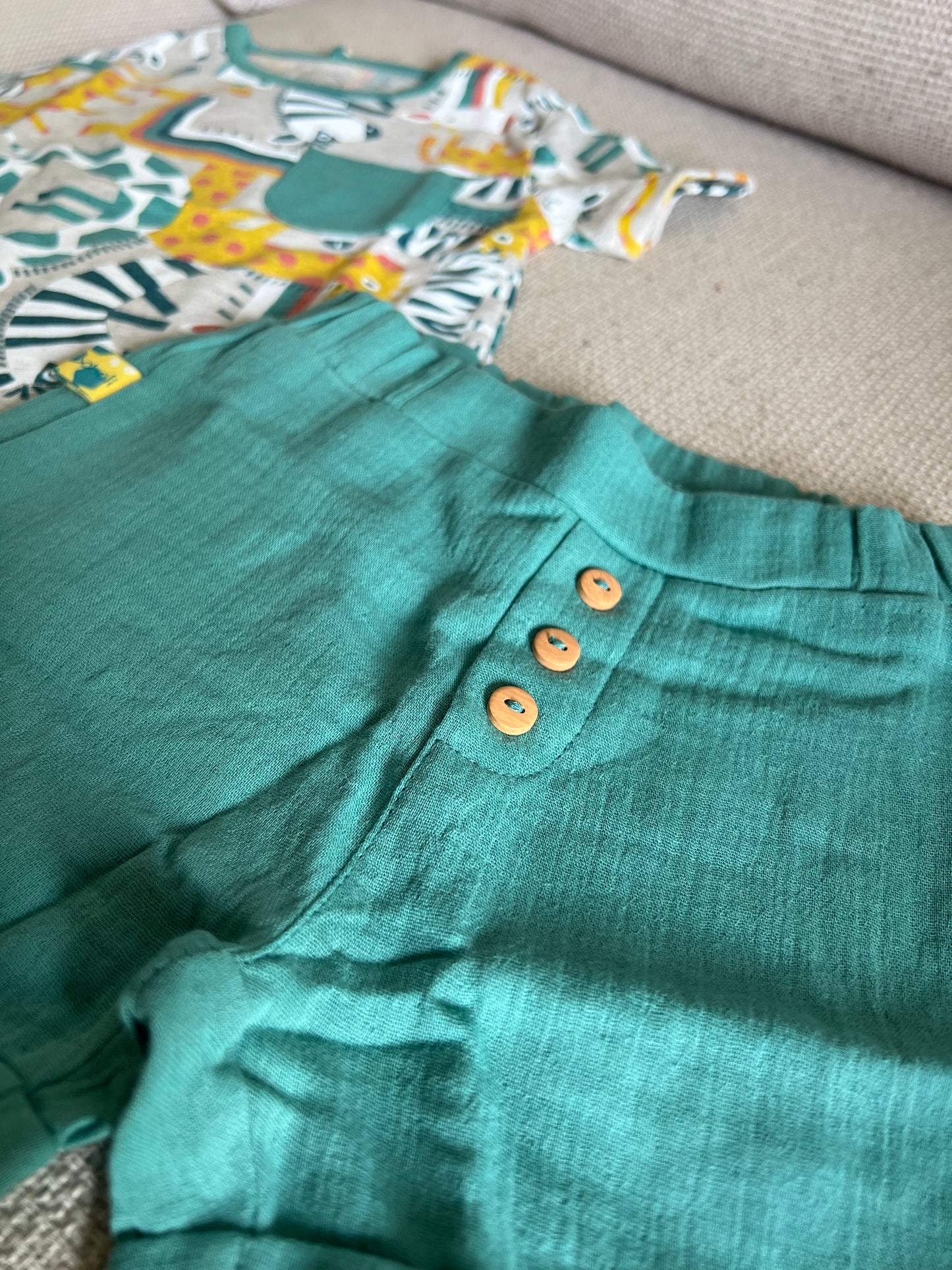 Ensemble 2 pcs Tshirt & short motif zèbre vert garçon