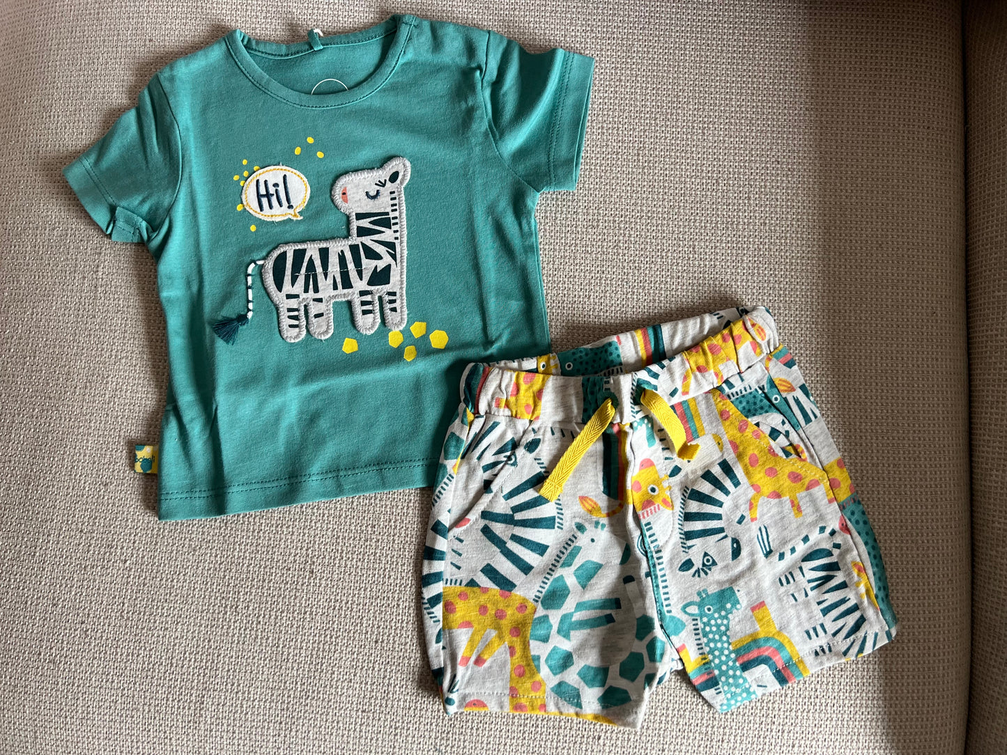 Ensemble 2 pcs Tshirt & short motif zèbre vert garçon