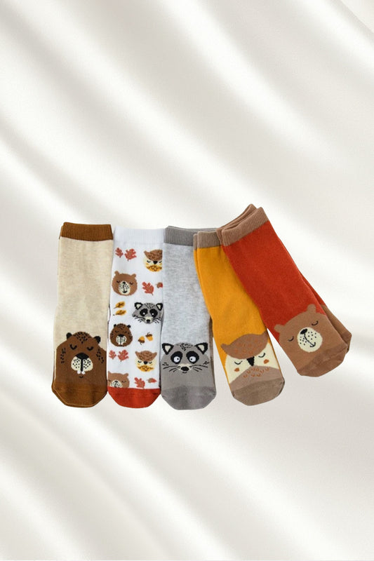 5 paires de chaussettes beige et marron
