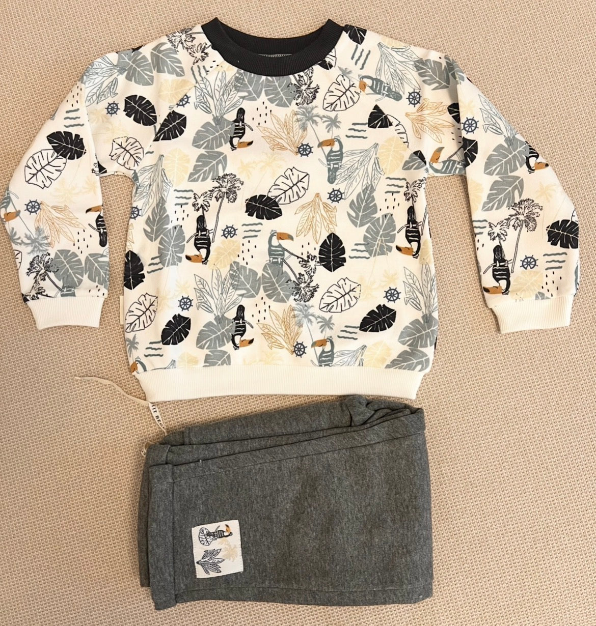 Ensemble 2 pcs sweat et pantalon en gris