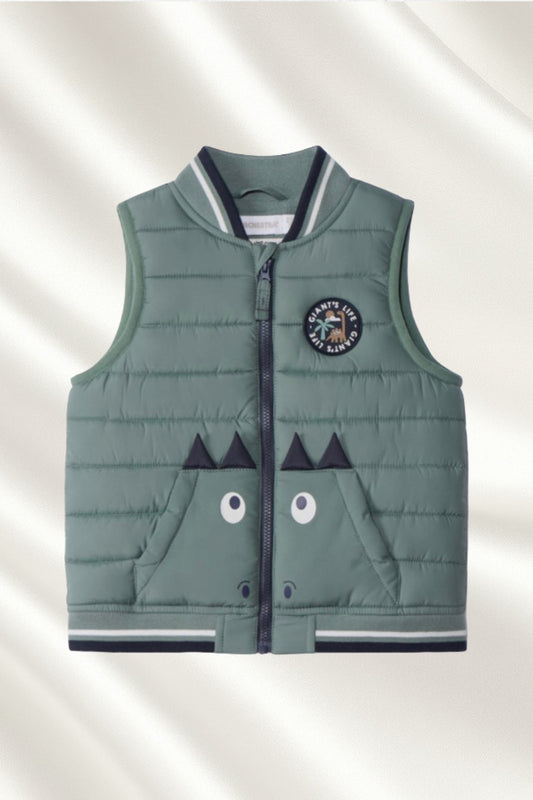 Gilet vert sans manches